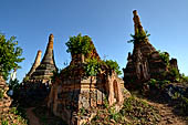 Inle Lake Myanmar. Indein, a cluster of ancient stupas  ruined and overgrown with bushes, just behind the village. 